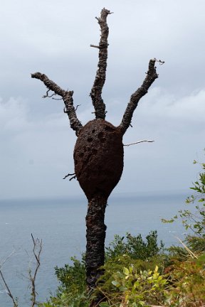 DSCF6121