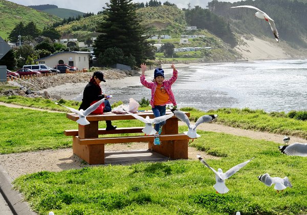 New Zealand Sept 2017 New Zealand Sept 2017 Castlepoint, Mt. Ruapehu, Hobbiton, Orakei Karako, and an important family gathering.